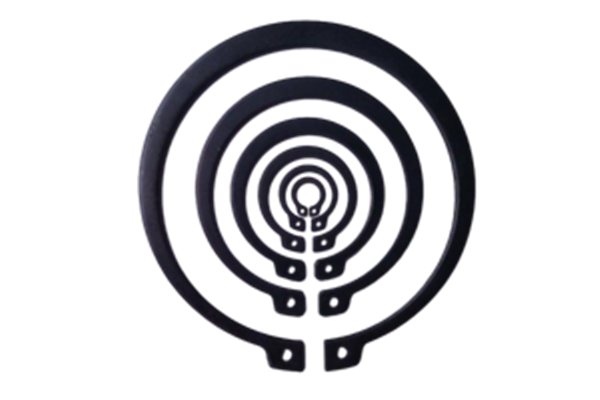 Circlips & Retaining Rings